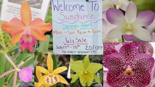 Sundance Orchids and Bromeliads July Sale!