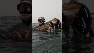 Spearfishing Oregon Coast TIME TO GET BACK IN #yakventures #kayakspearfishing