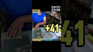 캄보디아 은퇴생활 #앙코르와트 #꼬끼트리 #캄보디아