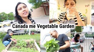 vegetable Garden in Canada