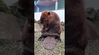 С добрым утром Мир.