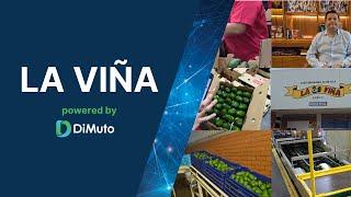 Transforming La Viña’s Avocado Supply Chain: Boosting Quality & Visibility with DiMuto