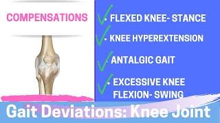 Gait Deviations: Compensatory Knee Joint Strategies