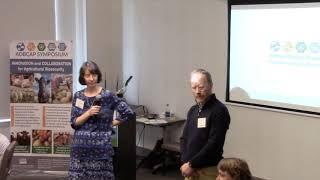 Discussion - Reflection on Storytelling