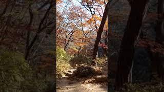  바라만 보아도 좋은 풍경 