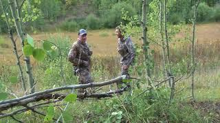 Big Bull Archery ElK Colorado Public Land - Craig Meyer 97 yards