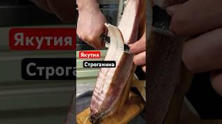 Классика Якутской кухни. Строганина из Чира
