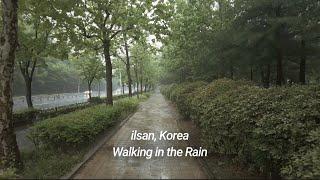 [4K] Walking in the Rain [ilsan, Korea]