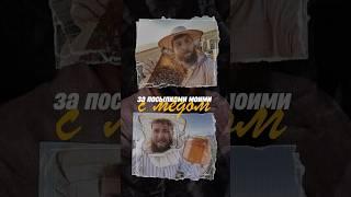 Сколько можно заработать с одного улья? Иван Халилов для своих