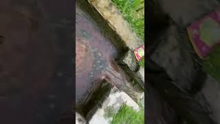 #villagelife #simplelife #vlog #views #viralvideo #eid #vacation
