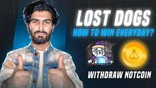 How To Withdraw NOTCOIN  In Lost Dogs Telegram Bot - Can You Win EveryDay | And Claim $WOOF