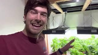 Super Simple Indoor Garden Setup Walkthrough Anyone Can Do!