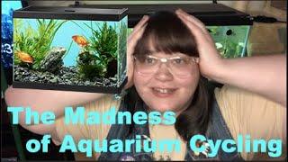 Cycling Your Tank: Everything You Need to Know