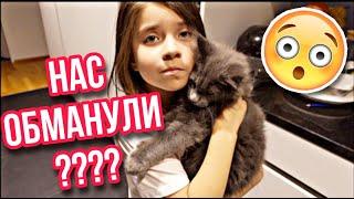 VLOGMASСАМЫЙ ХУДШИЙ ДЕНЬ РОЖДЕНИЯ /ЧТО МЫ ОБНАРУЖИЛИ У ФИОНЫ