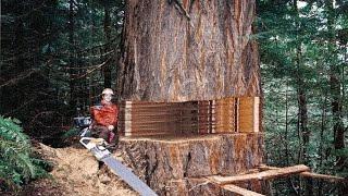 Fastest Big Chainsaw Cutting Tree Machines Skills, Incredible Homemade Wood Cutting Machines