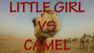 Little Girl vs Camel