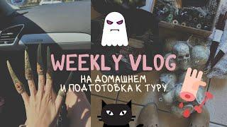 VLOG 13: домашние будни и подготовка к туру