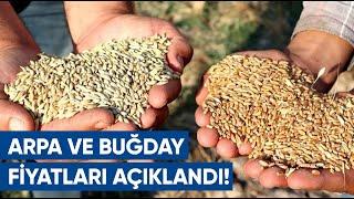 Buğday Ve Arpa Fiyatları Açıklandı! Çiftçiden Fiyat Açıklaması | AGRO TV Haber