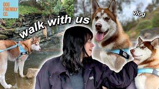 Dog Friendly Co. Review | COME WALK MY SIBERIAN HUSKY WITH ME!