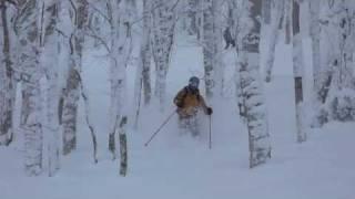 Hokkaido powder