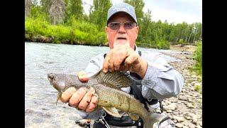 Alaska-Sheep Creek My First Grayling!