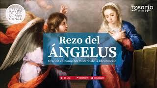 ÁNGELUS. Rezo del Ángelus, oración de mediodía