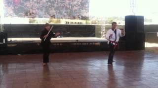 GQ Dojo Sword, Escrima stick, Bo staff Performance