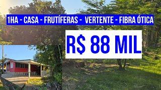 [113776] CHÁCARA NO CARAÁ 10080M² COM CASA GALPÃO FRUTÍFERAS, MATA, VERTENTE E FIBRA ÓTICA R$ 88 MIL