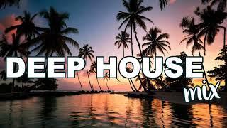 Deep House & Chill Techno Vibes 2024  Progressive House - DJ SONGS - PARTY SONGS