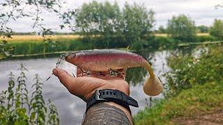 River Pike Fishing - Throwing Lures on a Quick Solo Session!