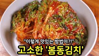 이게 왜 이렇게 맛있죠? 싱그러운 '봄동김치' 밥에 척척 걸쳐먹으니 다른 게 필요 없어요~!