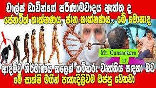 ඩාවින්ගේ පරිණාම වාදය ඇත්තක්ද.. මිත්‍යාවක්ද.. ආදම්ව නිර්මාණය කල හේතුවට සියලු සාක්ෂි එළියට | Siwhela