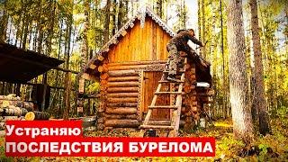 Ремонт избы после бурелома. В ТАЙГУ с ночёвкой. Металокоп. Лесные находки.