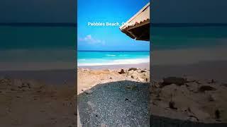 Pebbles Beach  #shorts #trendingshorts #ytshorts #viralshorts #shortsfeed #trending #beach #oman