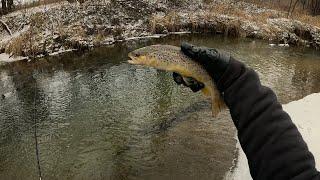 Wisconsin Trout Fishing - 1/11/2025
