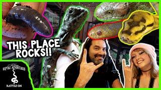 TOURING THE SERPENTARIUM REPTILE SHOP! (with CatAleah)