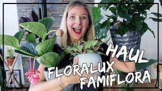 Haul Plantes & pots Floralux et Famiflora #belgique