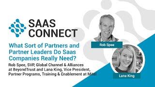 What Sort of Partners and Partner Leaders do Saas Companies Really Need?