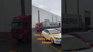 China geelong plywood machine loading container everyday