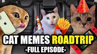 Cat MEMES Roadtrip Compilation Full 1 Hour