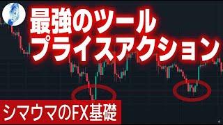 【究極の聖杯】FX基礎動画｜プライスアクションを制する者は相場を制す【再編集UP】