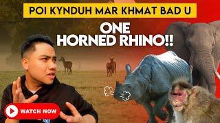 Poi Kynduh Mar Khmat Bad U One Horned Rhino / Kaziranga National Park Vlog