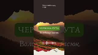Червона рута Володимир Івасюк вірш Слухати вірші українських поетів