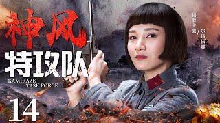 Kamikaze Task Force 14 | Chinese drama | Xinjun Wang，ERMA，Mark