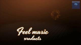 Welcome to feel music!!! Deephouselovers, summer mix 2020, house music,house, love (by FM)