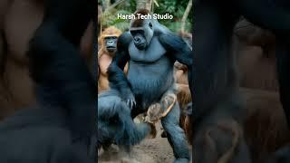Gorilla vs chimpanji are deadly fight #trending #wildlifeentertainment #wildanimals #animallife
