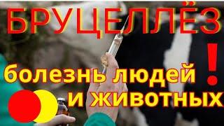 Пугающая правда о бруцеллезе|Как избежать -советы животноводам и охотникам| умерла ЕкатеринаСавинова