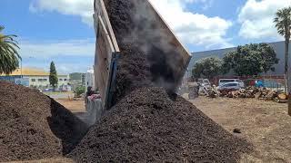 huge dump 30 cubic meters of mulch