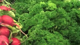 How to Choose Greens for a Green Smoothie