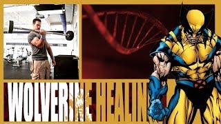 Wolverine Healing - How to Heal and Recover Faster